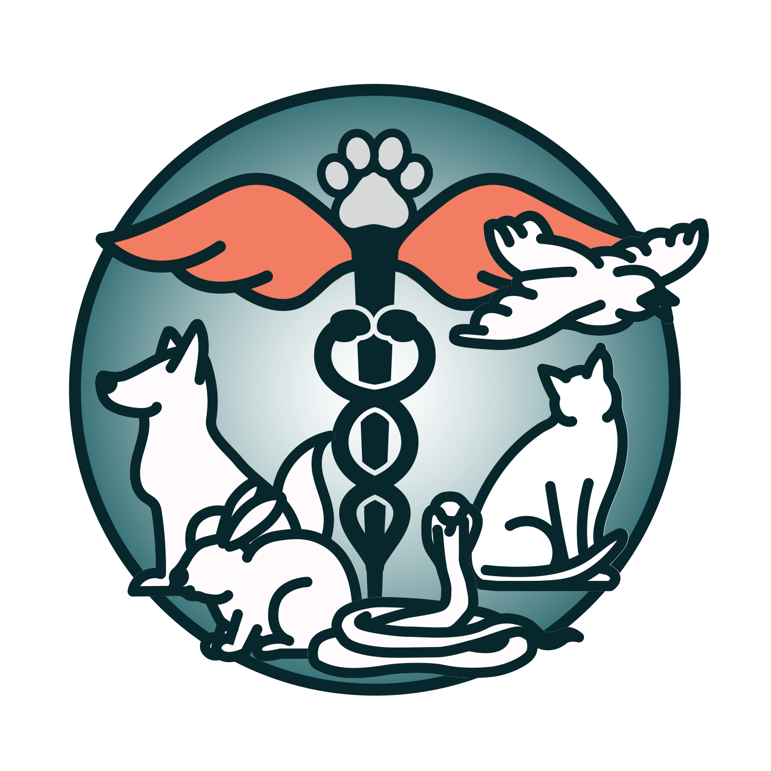 Holistic Veterinarian in Plano, TX 75075 - Paws & Claws Animal Hospital