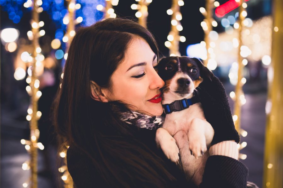 New Year’s Resolutions for a Healthier Pet