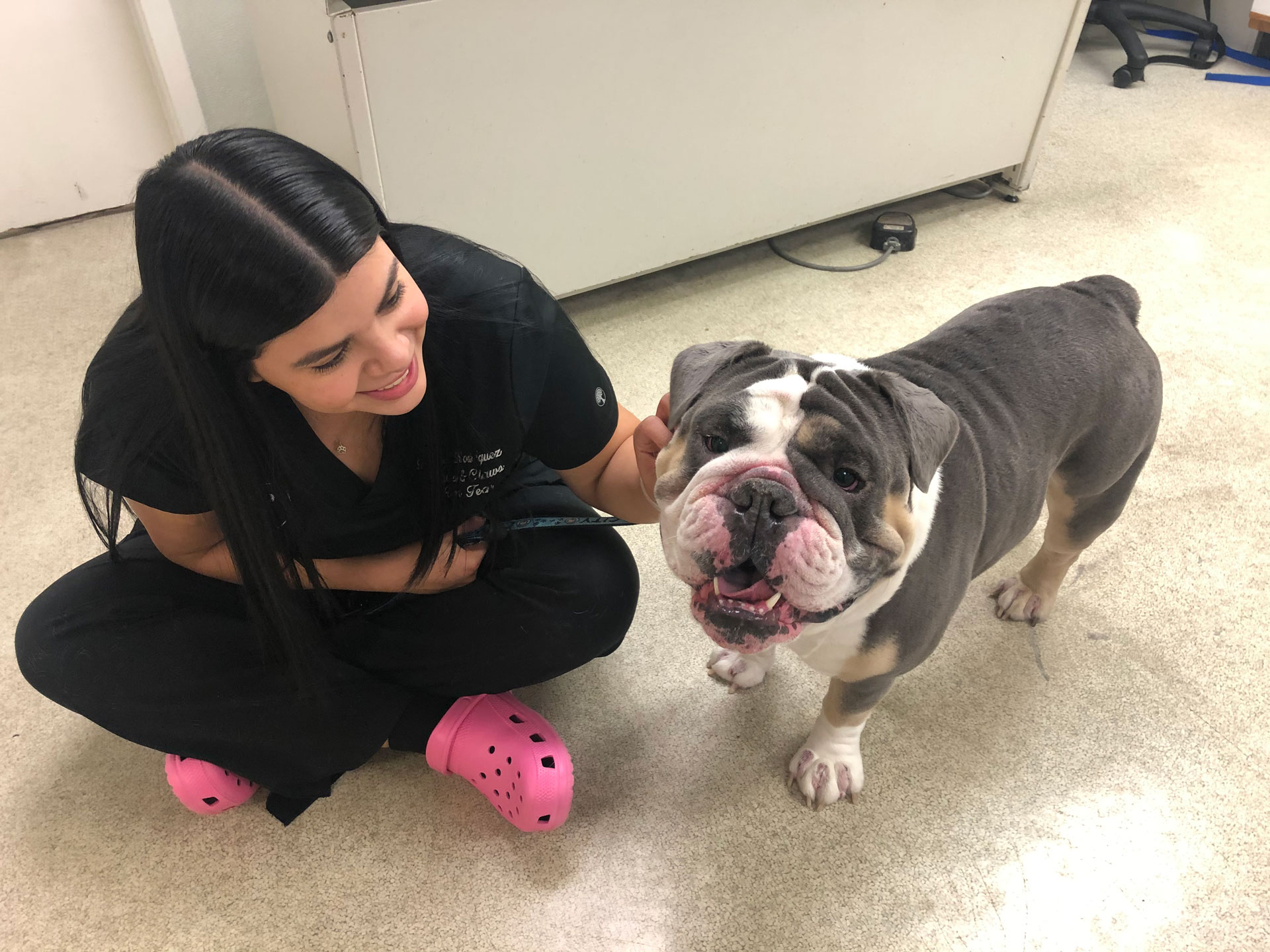 Loving Care Animal Hospital Largo Birds/Avian Medicine